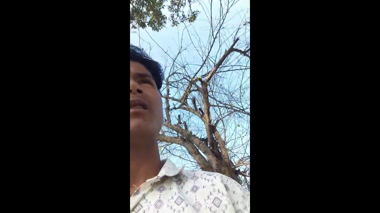 Dg Reetesh Diwakar 7310 is live!