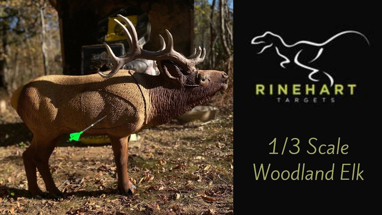 This Little Target Packs A Punch!!   ||    Rinehart 1/3 Scale Woodland Elk Target