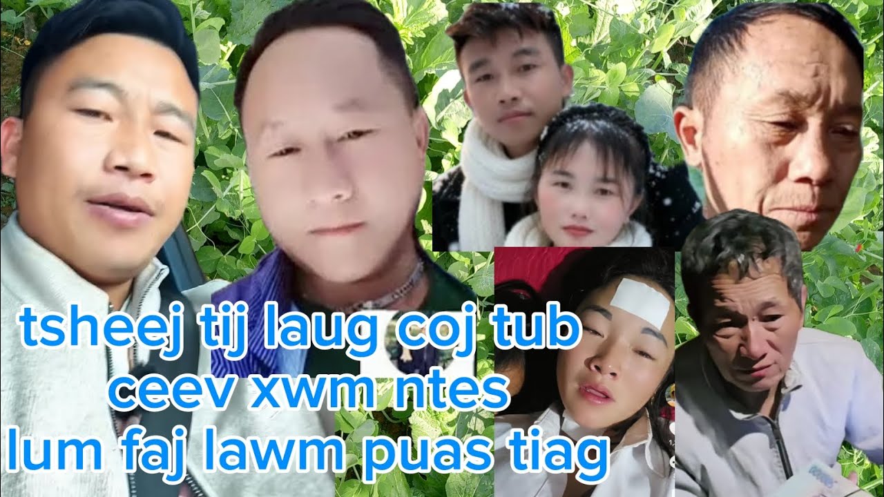  tsheej tij laug ntes lum faj  lawm puas tiag