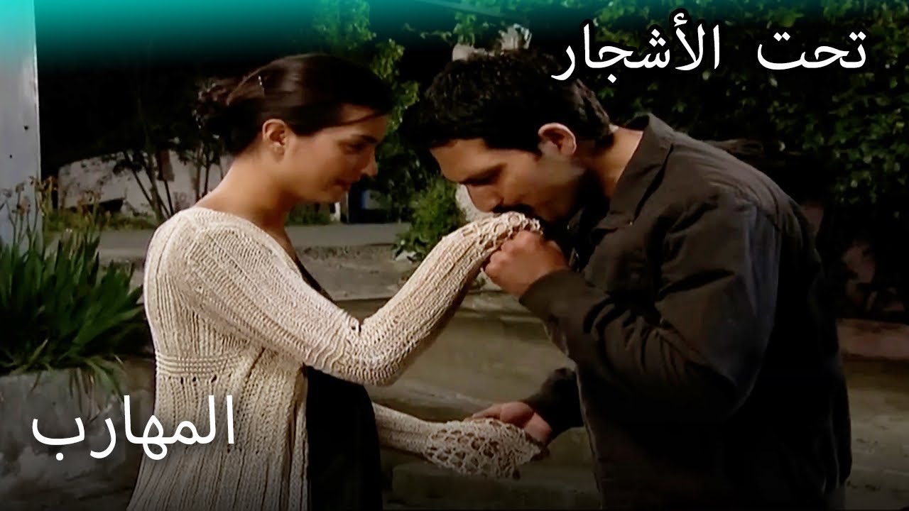 التقى يلماز وفيليز سرا - القسم الخاص تحت الزيزفون
