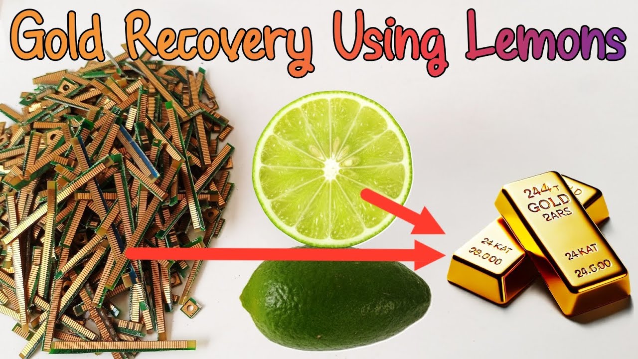 Gold Recovery Using Lemons | Can You Recover Gold with Lemons? 
