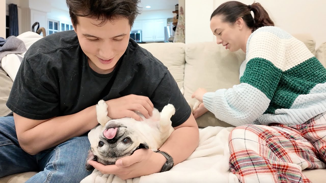 Guppy Hates This Part