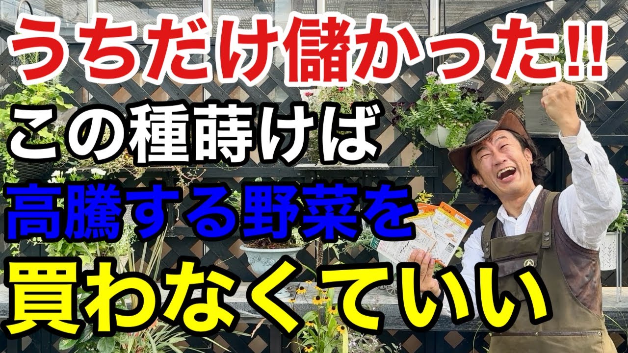 今年も秋冬の野菜の値段が高くなります。この種を蒔いて得して下さい！　　　　　【カーメン君】【園芸】【ガーデニング】【初心者】