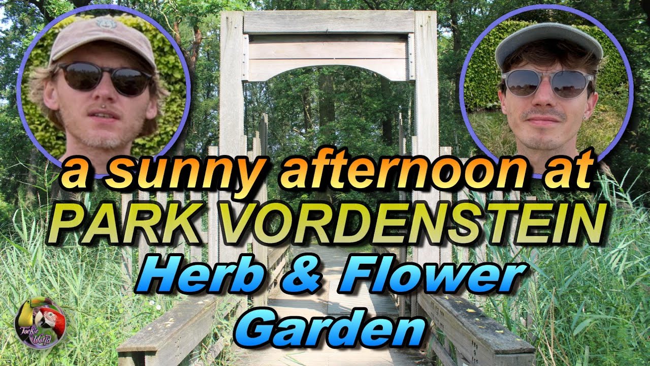 🌞a sunny afternoon at Park VORDENSTEIN 🏞️ - 🌿🌻Herb & Flower🪻🌺 Garden🪷 August 19, 2024