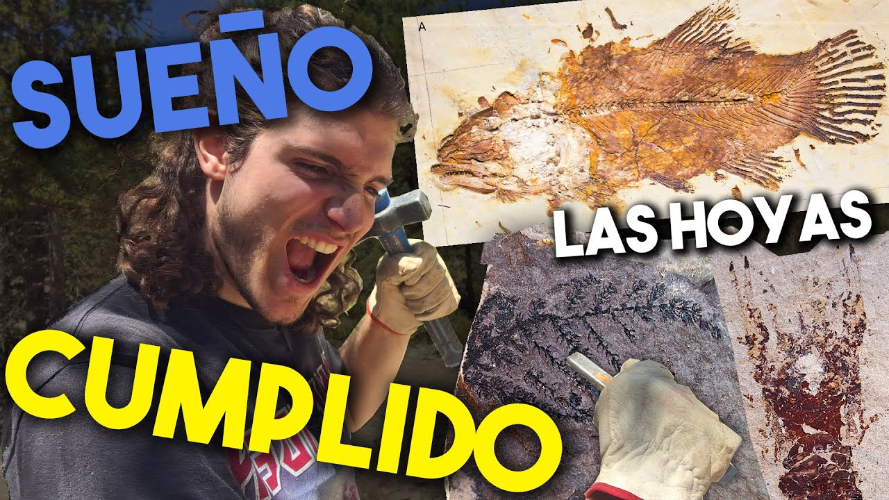 Mi primera EXCAVACI&Oacute;N paleontol&oacute;gica
