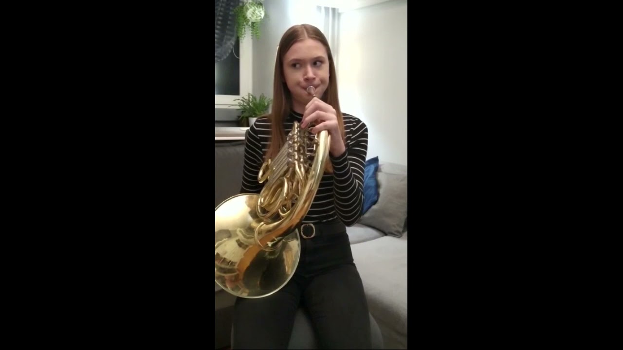 Waltornia