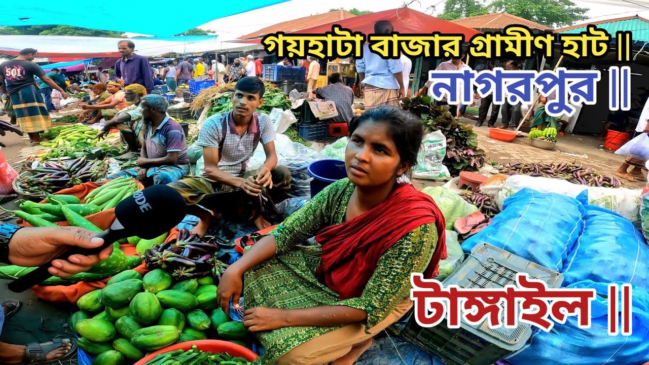 গয়হাটা বাজার গ্রামীণ হাট || Goyhatta Bazar Grameen Haat || Nagarpur Tangail
