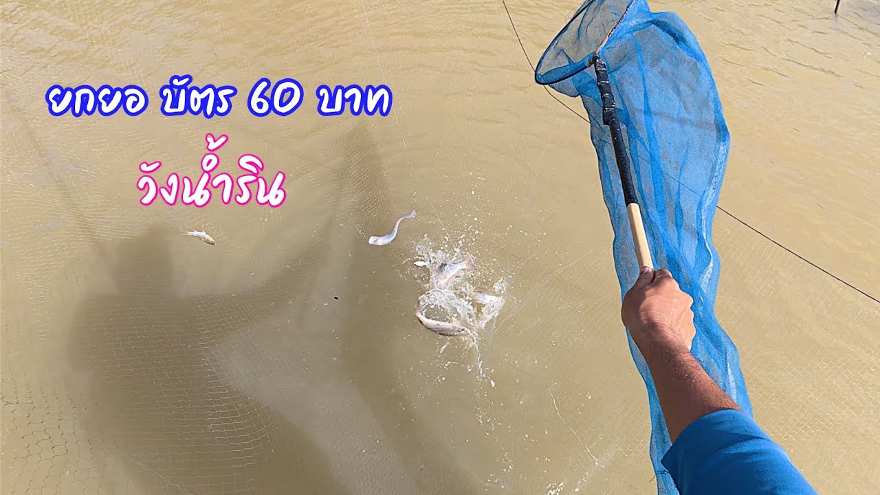บรรยากาศ หว่านแหยกยอ วังน้ำริน บัตร60บ.คุ้มเกินคุ้ม / ตุ้มแพรว พาเพลิน EP.929
