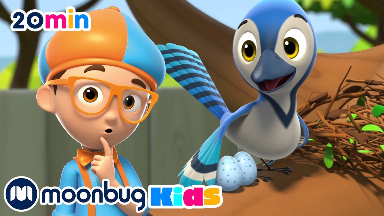 Il nido dell'uccello 🦜| Cartoni animati per bambini | Blippi Italiano