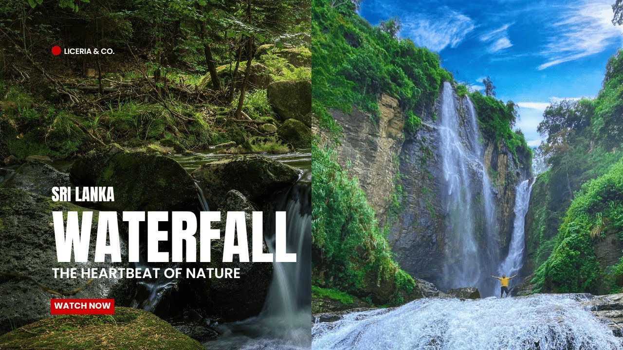 Discover Sri Lanka's Majestic Waterfalls #travelvlog #waterfall #srilanka