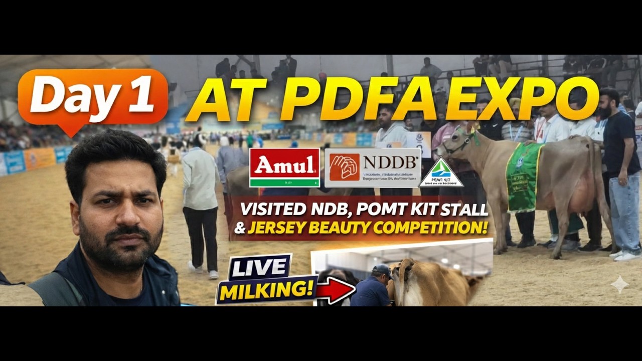 PDFA Expo Day 1: The Secret Behind High-Yield Jersey Cows!