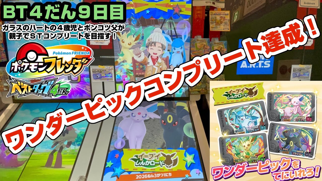 2026 3/1  ポケモンフレンダベストタッグ４だん　ワンダーピックコンプリート達成！バンギラス！シェイミ！