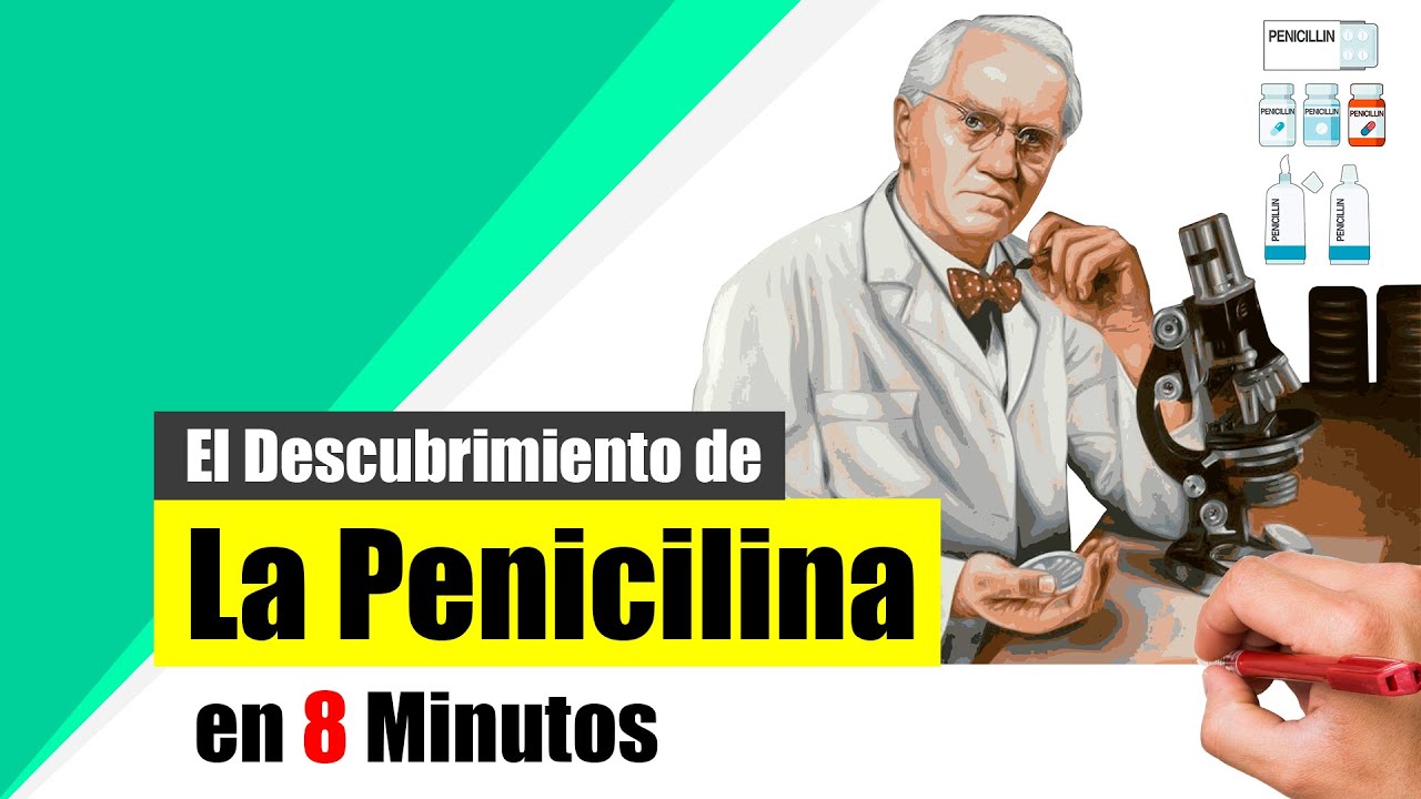 ¿Cómo fue DESCUBRIMIENTO de la PENICILINA? - Resumen.