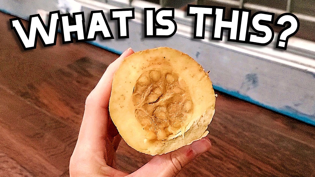 I found an interesting FRUIT in Puerto Rico