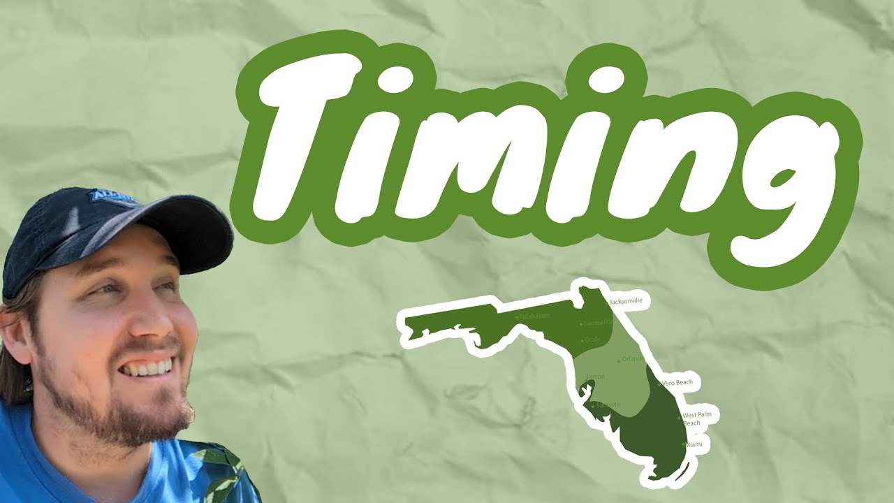 The #1 Thing NEW Florida Gardeners NEED To Know