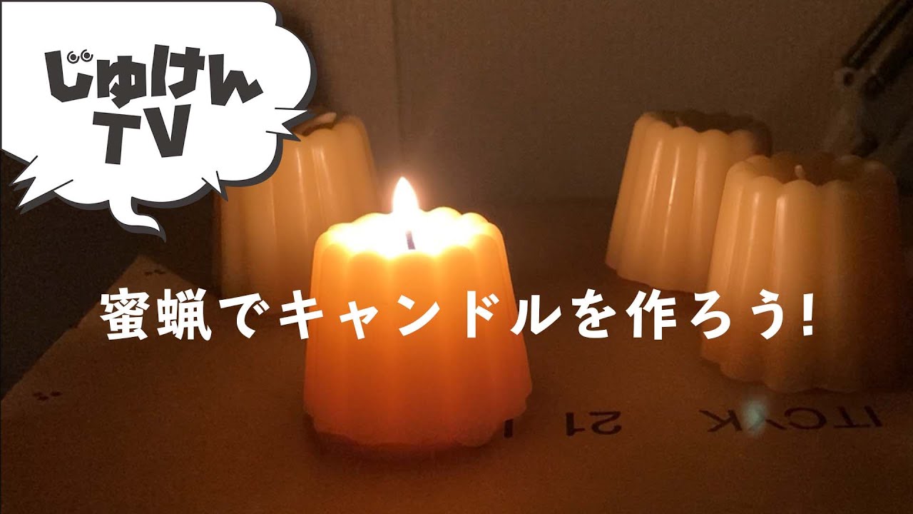 【簡単】蜜蝋でキャンドルを作ろう【かわいい】