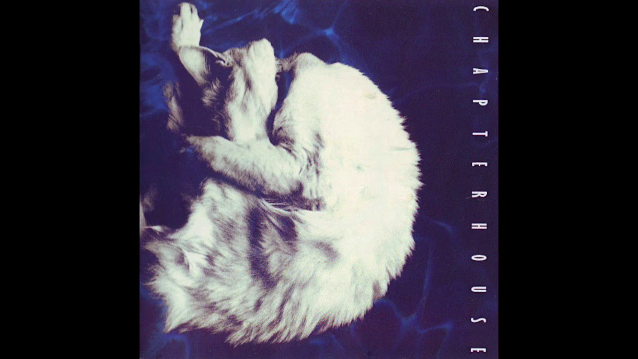 Chapterhouse - Treasure