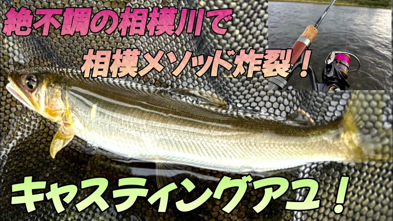 【鮎ルアー】絶不調の相模川で相模メソッド炸裂！