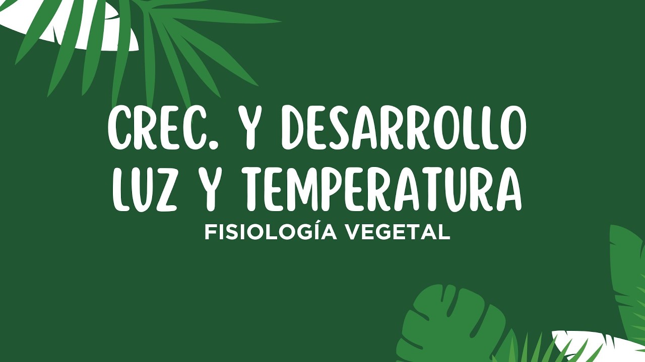 Crecimiento y desarrollo - Luz y temperatura
