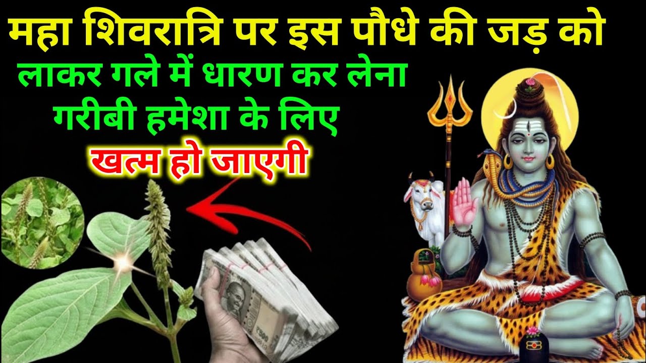 महाशिवरात्रि 2026 में भूलकर भी ना करें ये 4 काम 😱 नहीं तो महादेव हो जाएंगे नाराज़ | #mahashivratri 