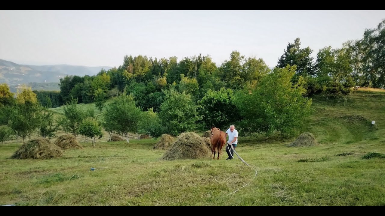 Brdsko planinski način pregona plastova (TITL)