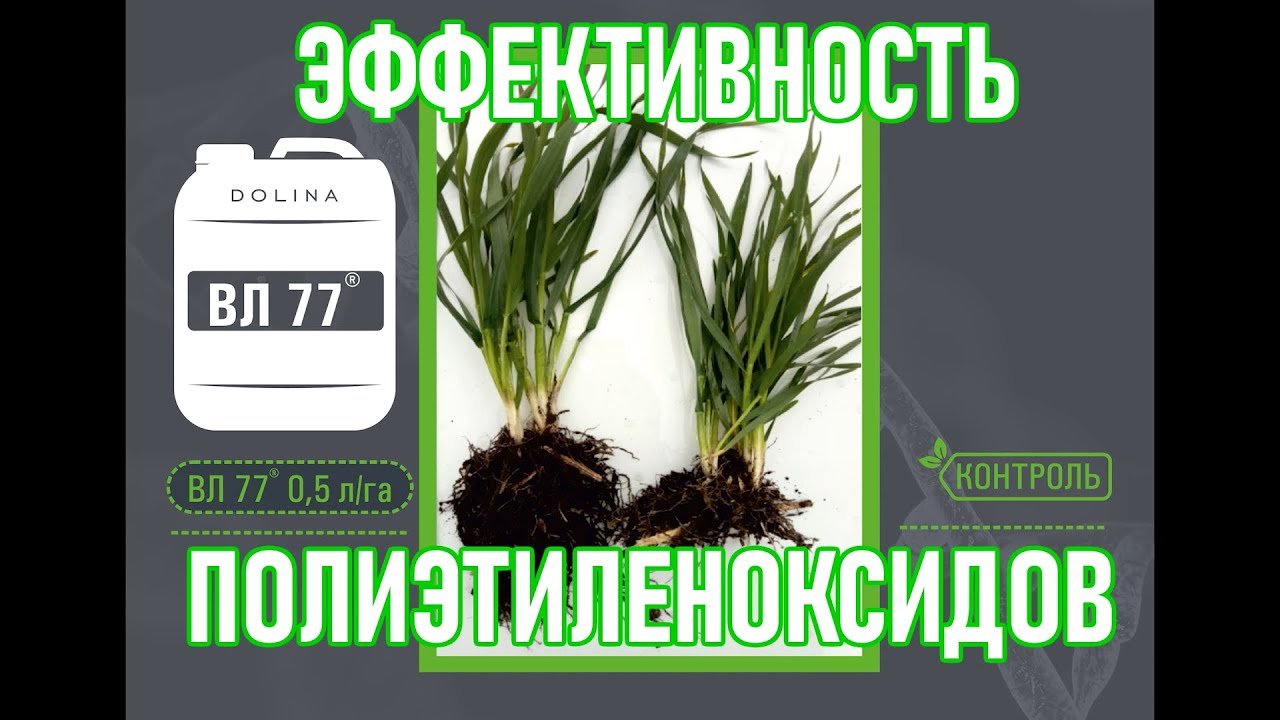 ВЛ 77® стимулятор роста растений