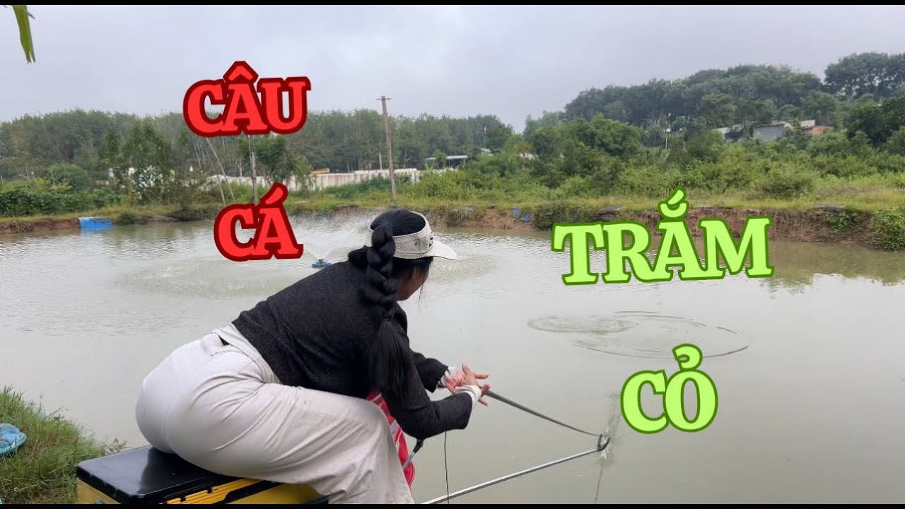 Lần đầu em câu được cá trắm cỏ …