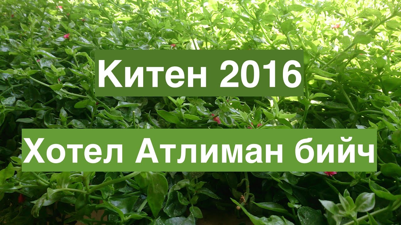 Китен, Хотел Атлиман бийч 2016