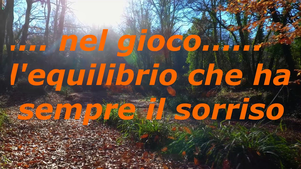 Drone&Co  Natale 2017 parodia di Alfred e Luca