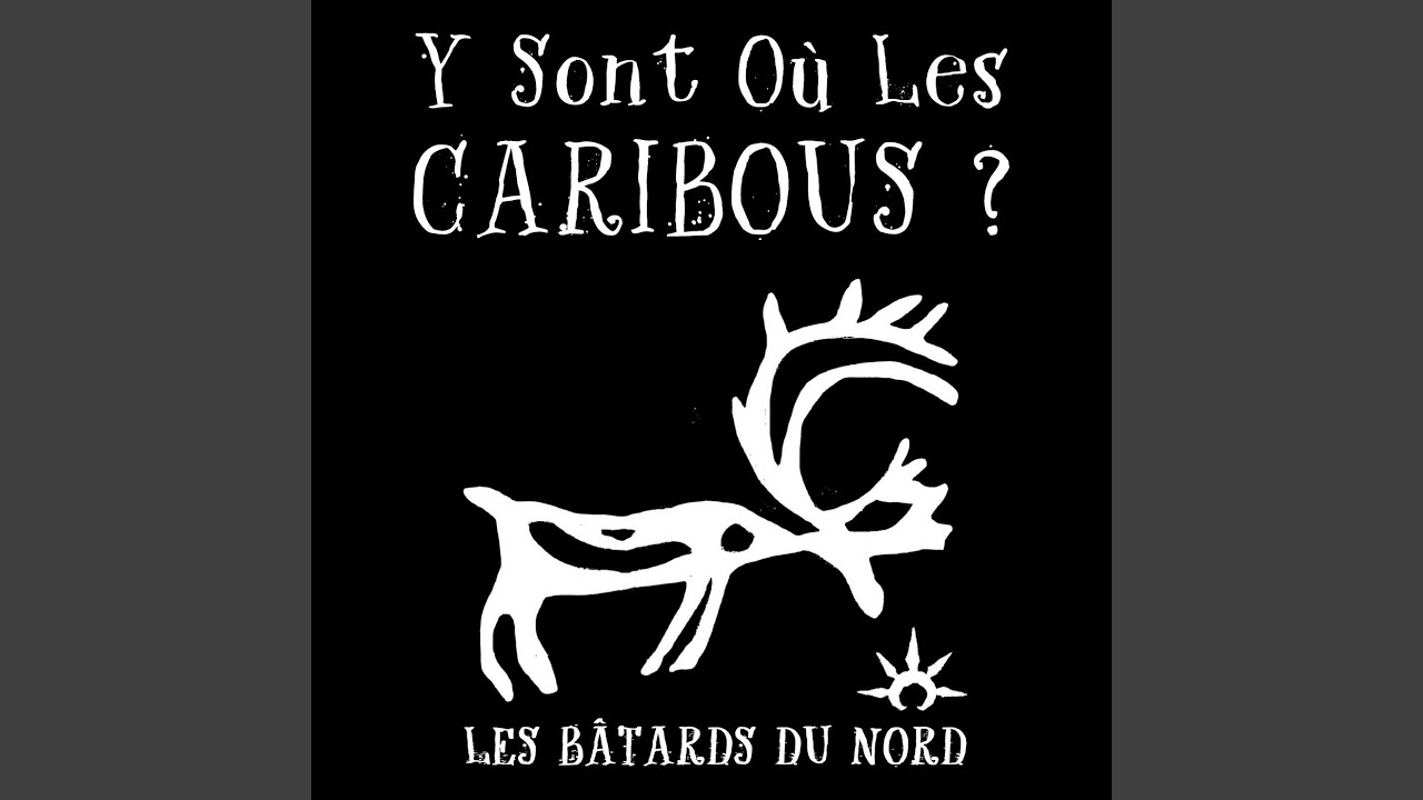 Y sont où les caribous?