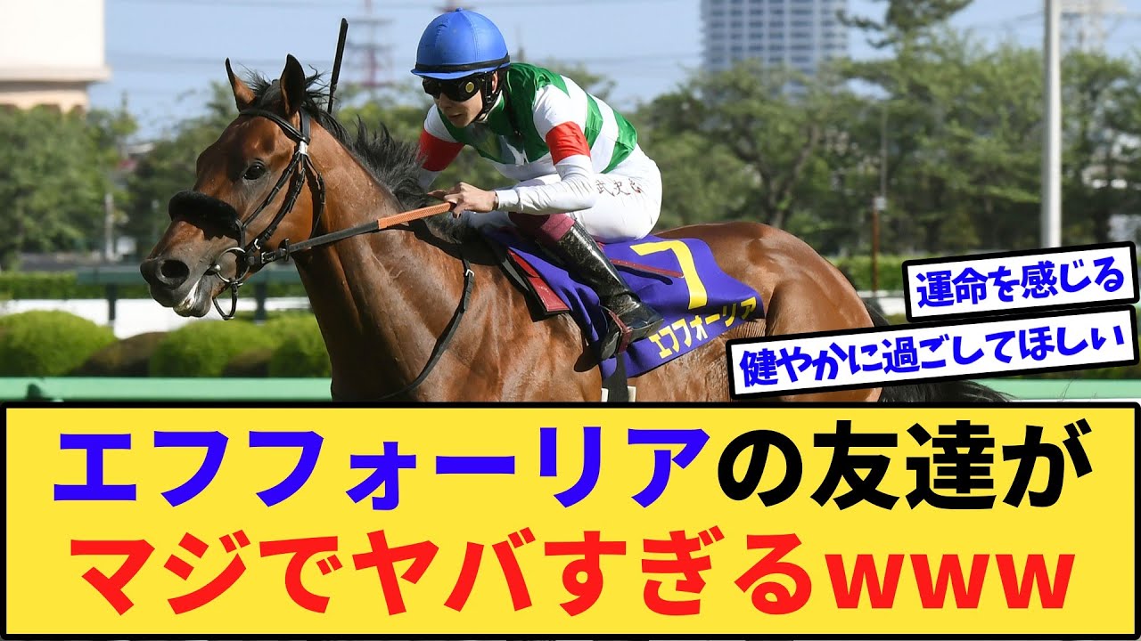 【朗報】エフフォーリア、友達が出来た模様www