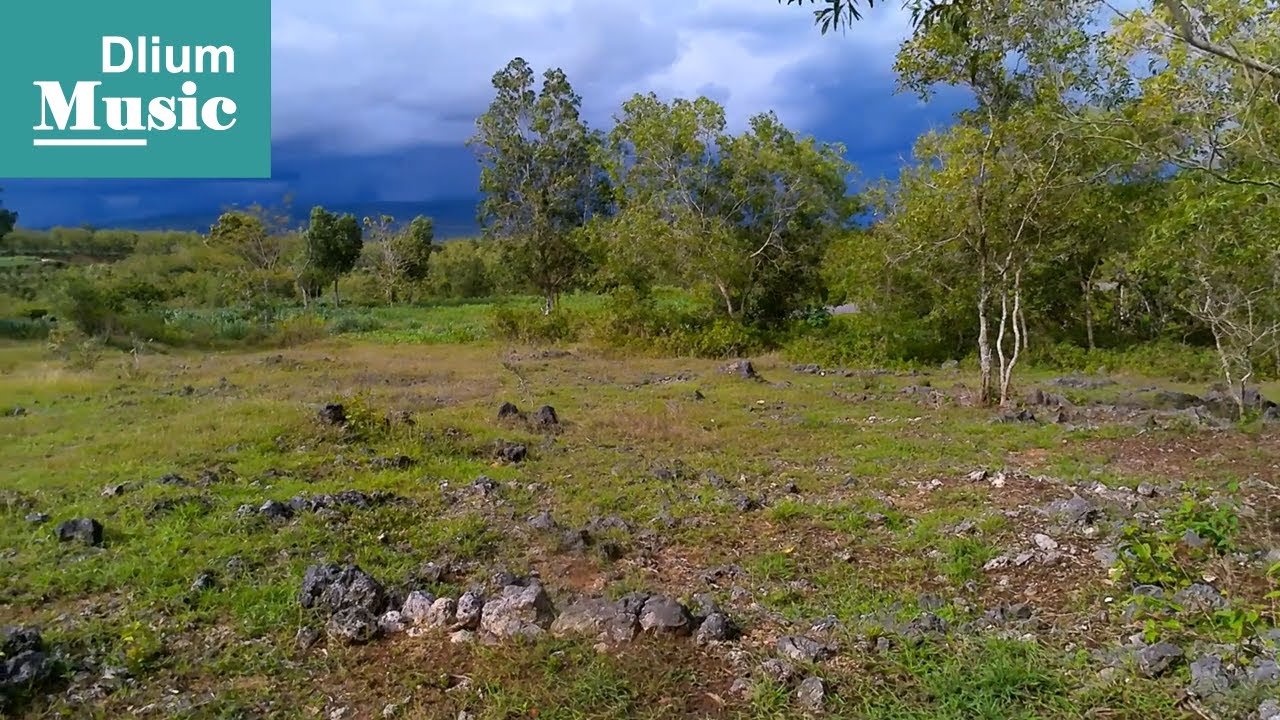 Dlium - Down The Karst Hill