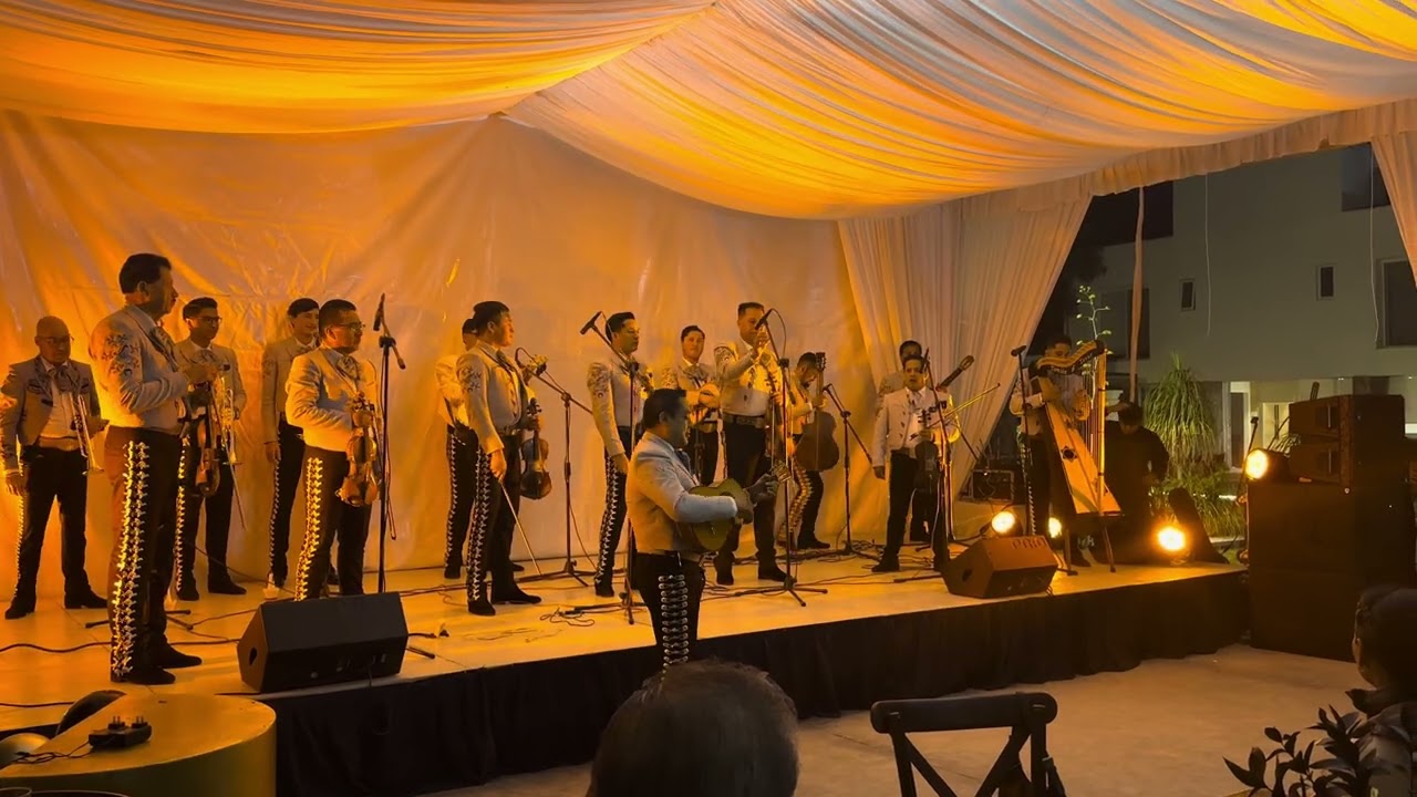 Damian Tovar en el arpa 🪉 “el cascabel” #mariachi #camperossma #arpa #viral 