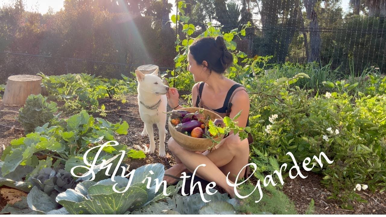 Self SUFFICIENCY in the CITY! - July garden tour Zone 10