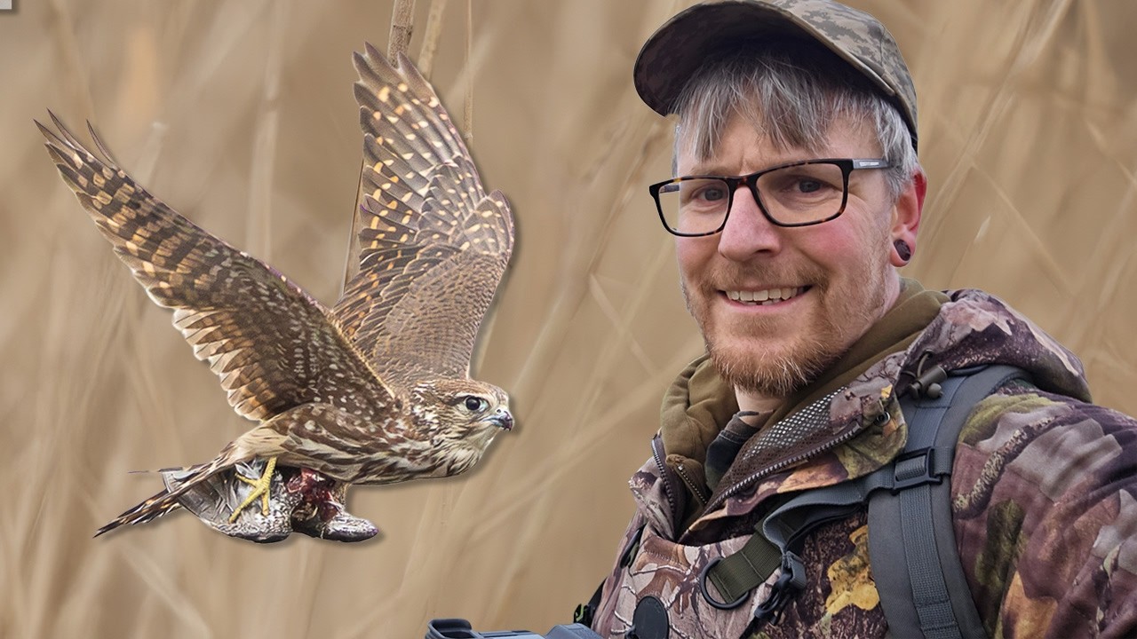The UK's Smallest Bird of Prey and The UK's Prettiest Tit