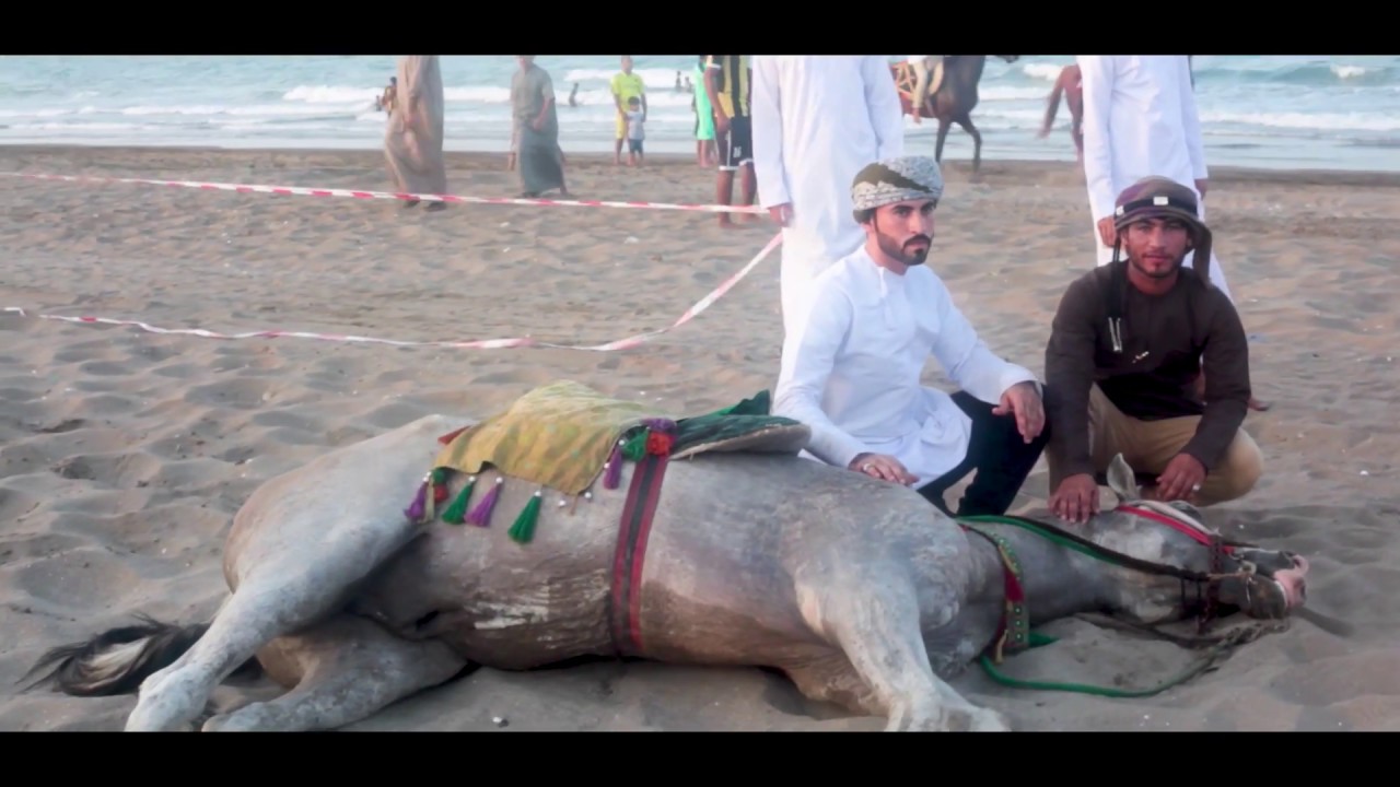عرضة الخيل في ولاية صحم