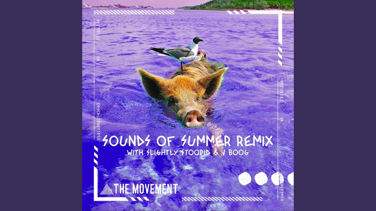 Sounds of Summer (Remix)