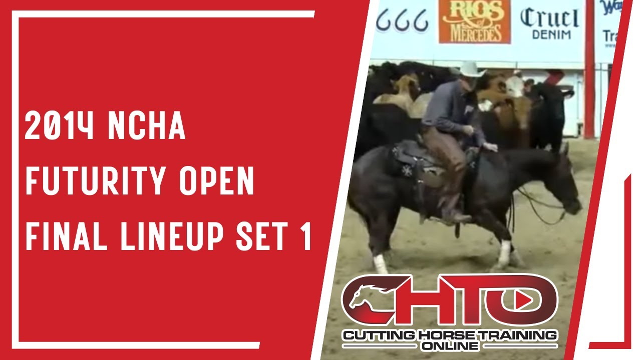 2014 NCHA Futurity open final lineup set 1