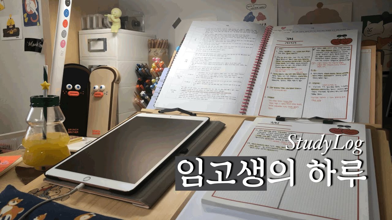 임고생 브이로그🎬ㅣ아직까지 조금은 여유로운 주말 일상(일리 캡슐 커피 구매☕️, 곱창전골❣️)ㅣ평일부턴 다시 죽어나는 임고생의 이틀✏️ㅣStudy Vlog