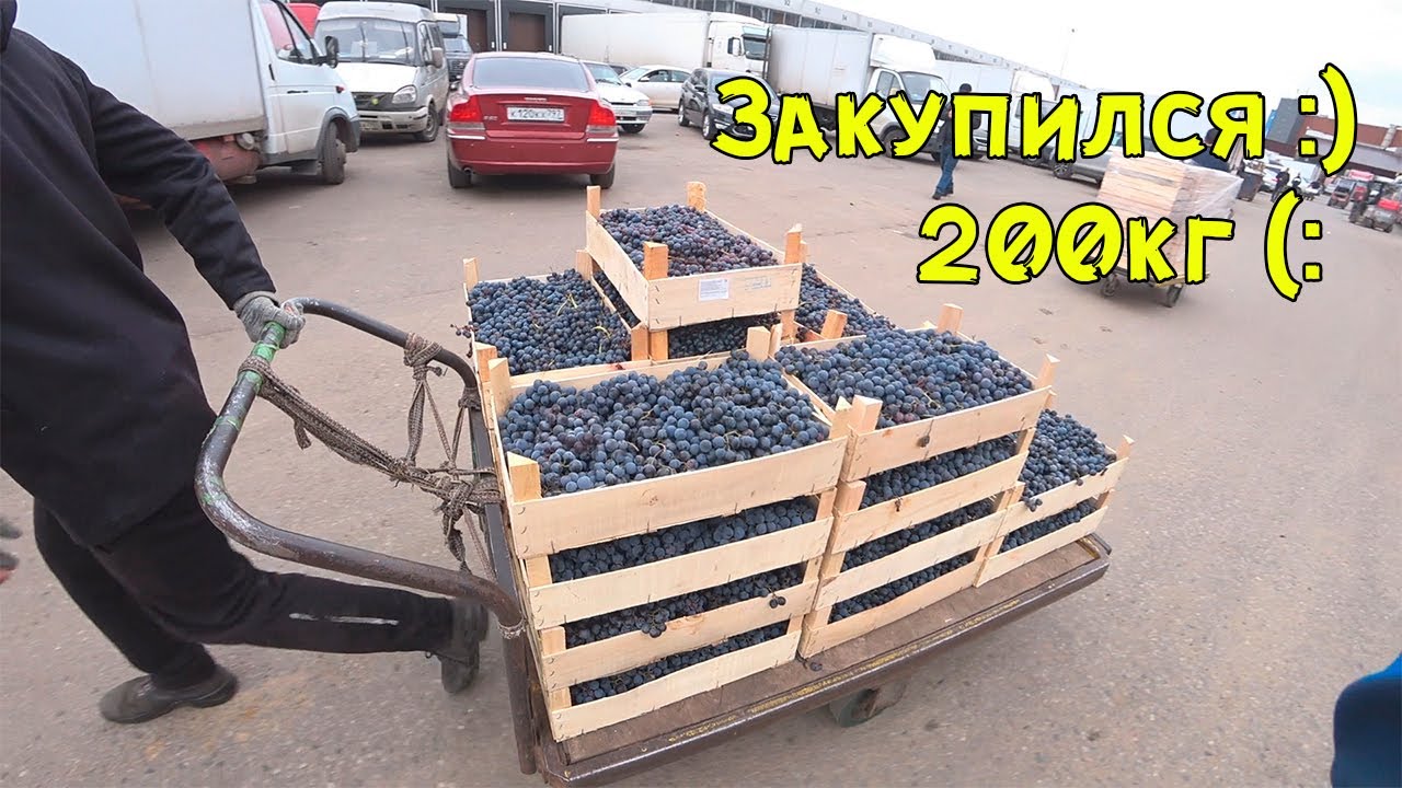 Переработал 200кг винограда за 1 подход. Задумался о дробилке!