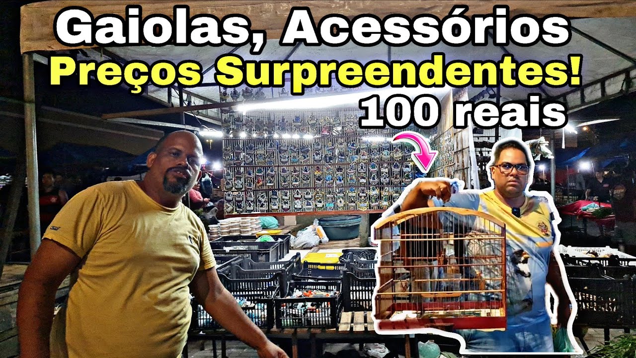Feira do Cordeiro Hoje: Gaiolas, Acess&oacute;rios e Pre&ccedil;os Surpreendentes!