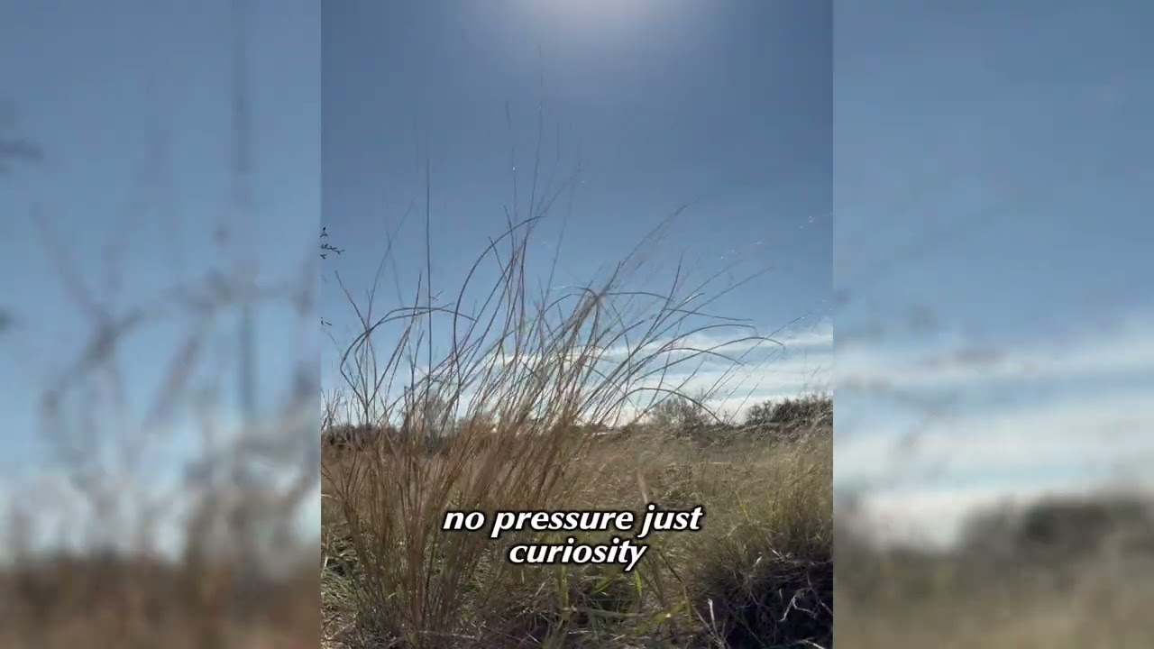 Guided Meditation | 10 Minute Reset