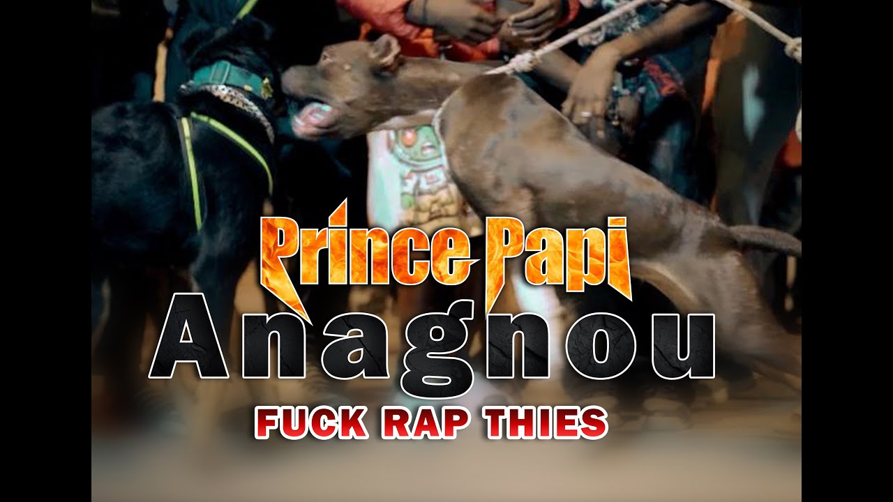 PRINCE PAPI -  ANAGNOU-(FU°CK RAP THIES) Clip Officiel