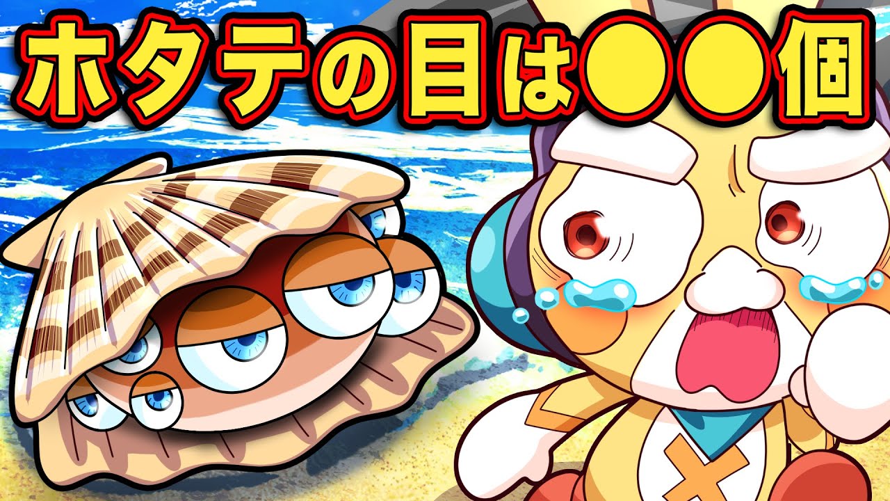 キミはいくつ分かる？海の生き物の雑学クイズ6選【アニメ】【マンガ】
