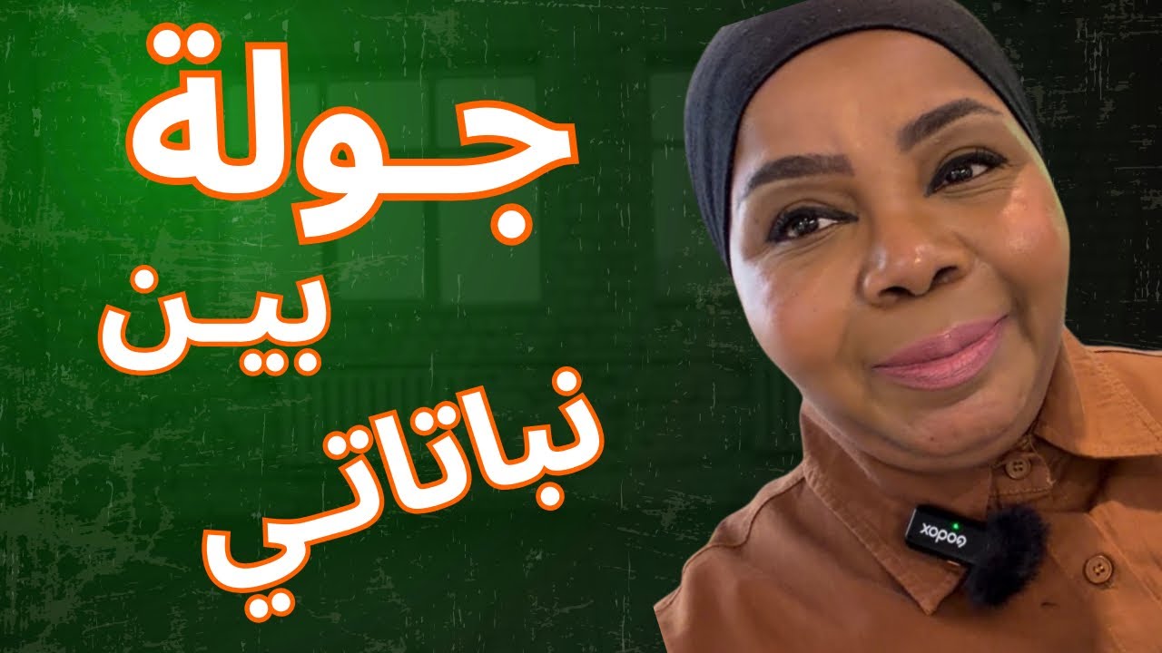جولة في حديقتي المنزلية رقم #3