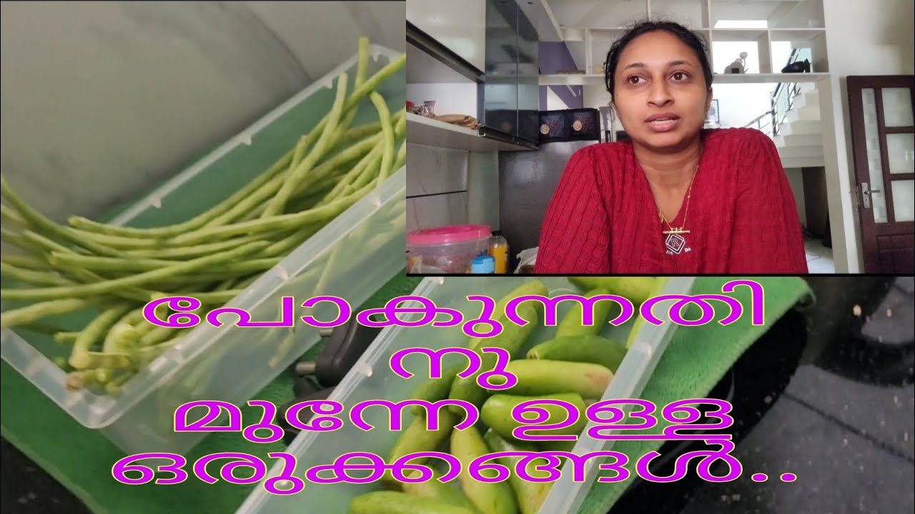 എന്തൊക്കെ ഒരുക്കങ്ങൾ ആയിരുന്നു...#ourheavenbyarya #aryanishad #familyvloger #minivlog #dayinmylife 