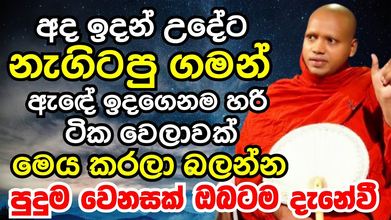 අද ඉදන් උදේට නැගිටපු ගමන් හැමදාම ඇඳේ ඉදගෙනම හරි ටික වෙලාවක් මෙය කරන්න|Ven Hasalaka Seelawimala Thero