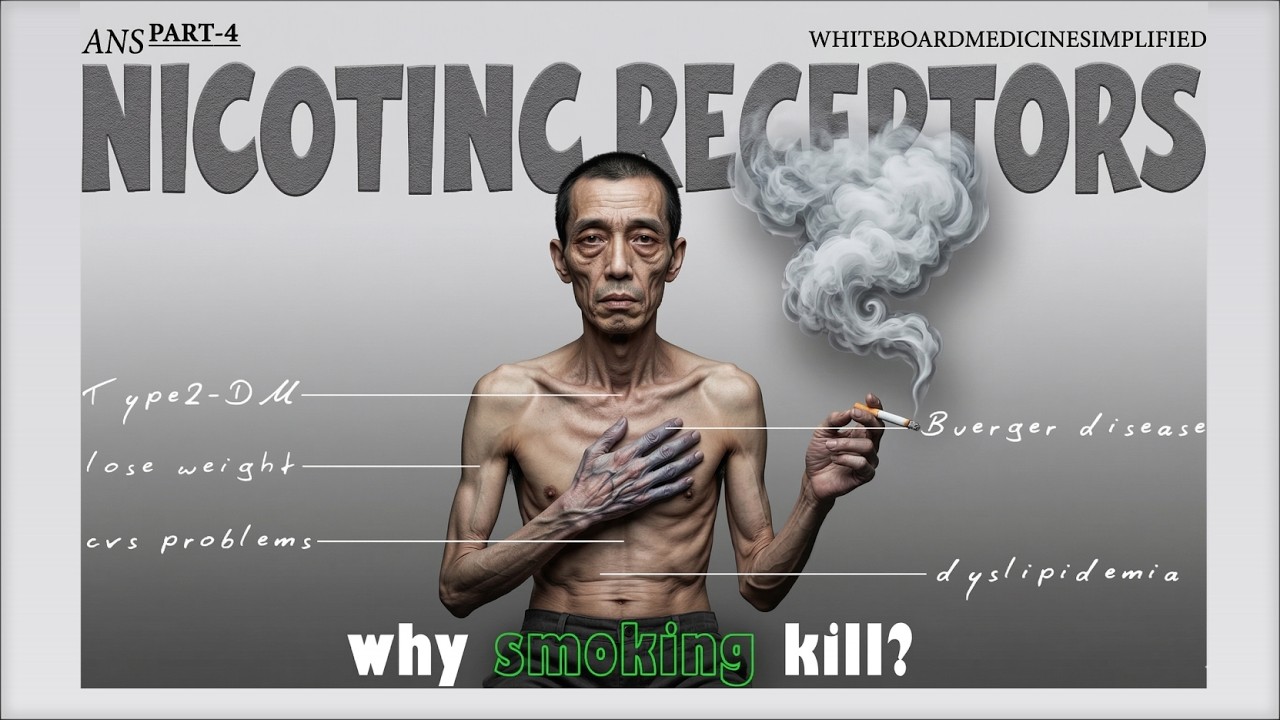 Nicotinic Receptors (Nn & Nm) – Mechanism, Effects & Clinical Correlations