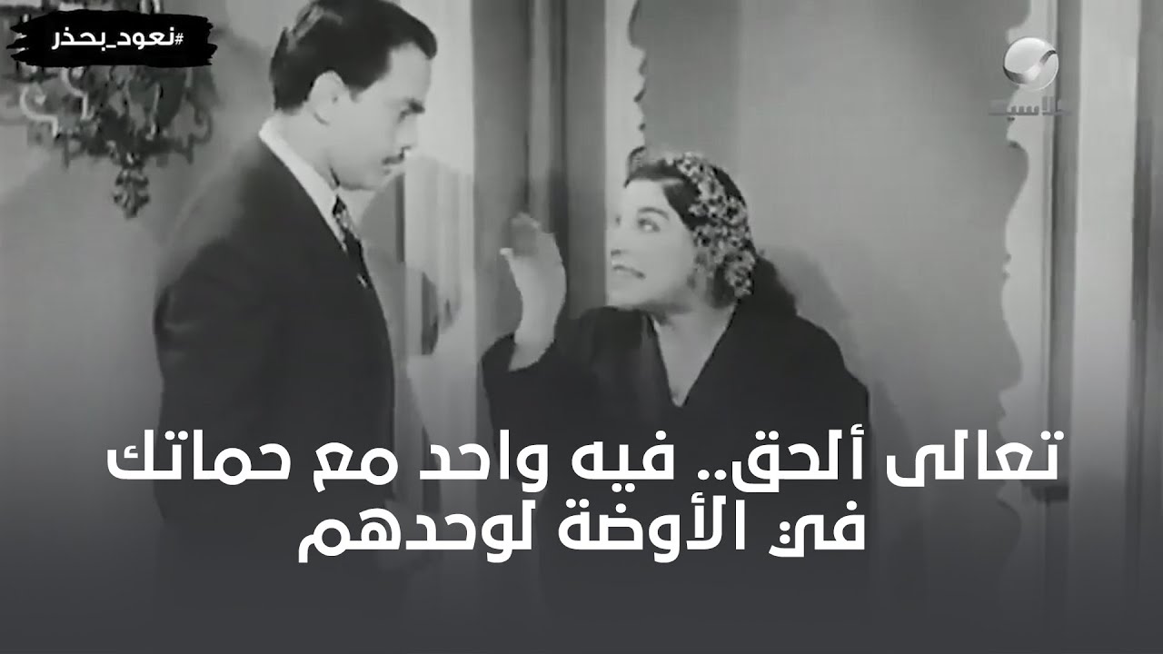 ماري منيب بتسخن كمال الشناوي على حماته 😂