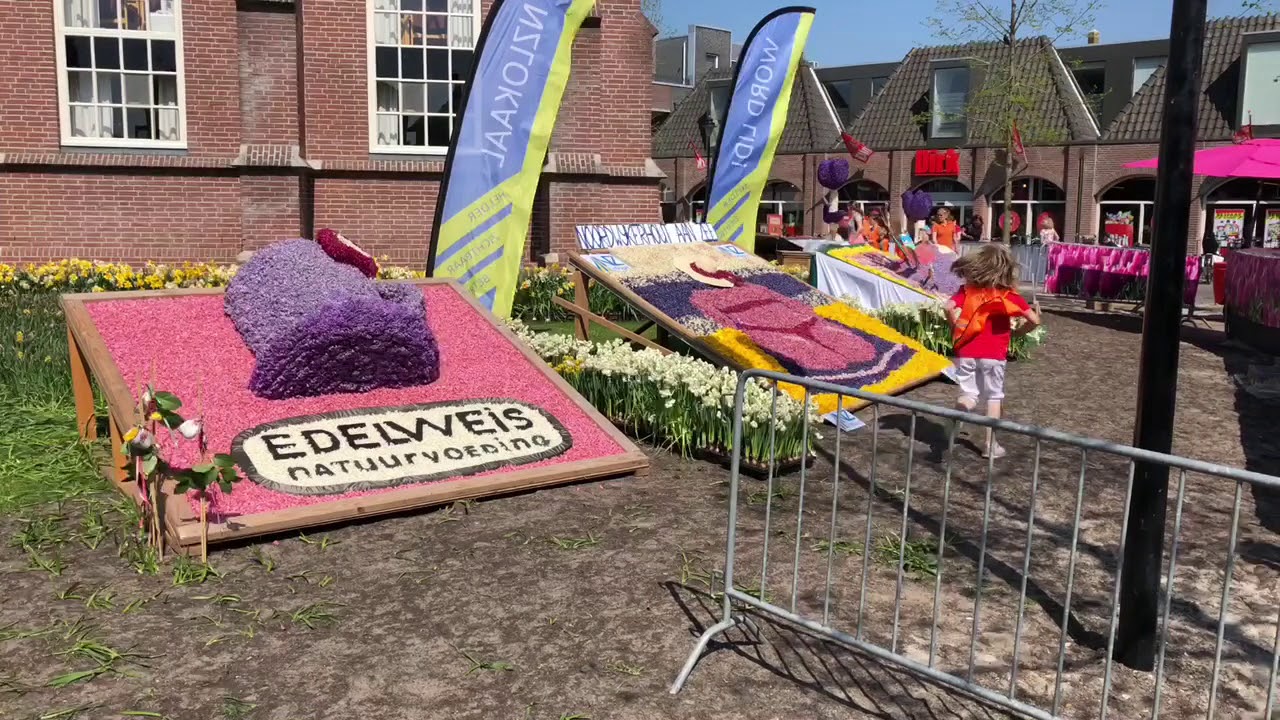 Blumenkorso Holland 2018